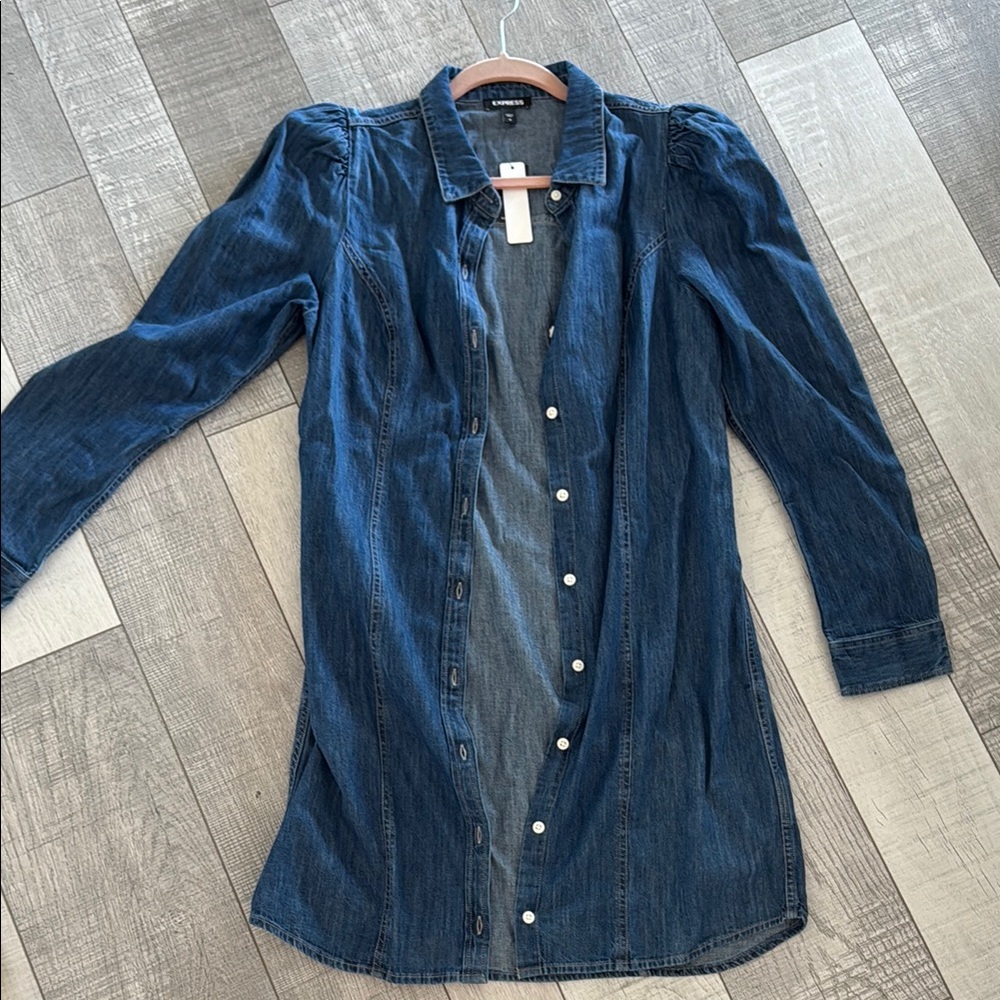 Express Denim Shirt Dress